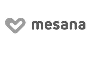 Mesana (Corvolution GmbH) in Ettlingen